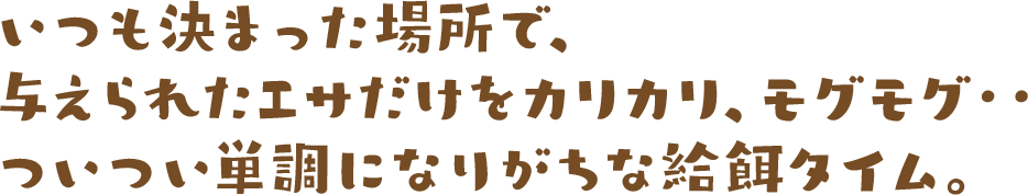 いつも決まった場所で、与えられたエサだけをカリカリ、モグモグ‥ついつい単調になりがちな給餌タイム