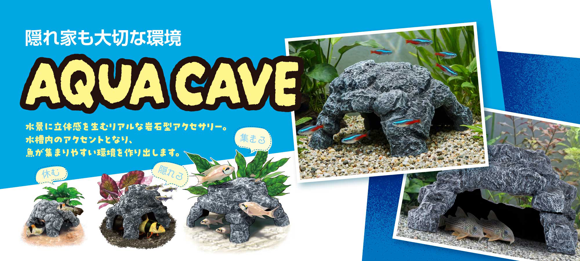 アクアケイブ