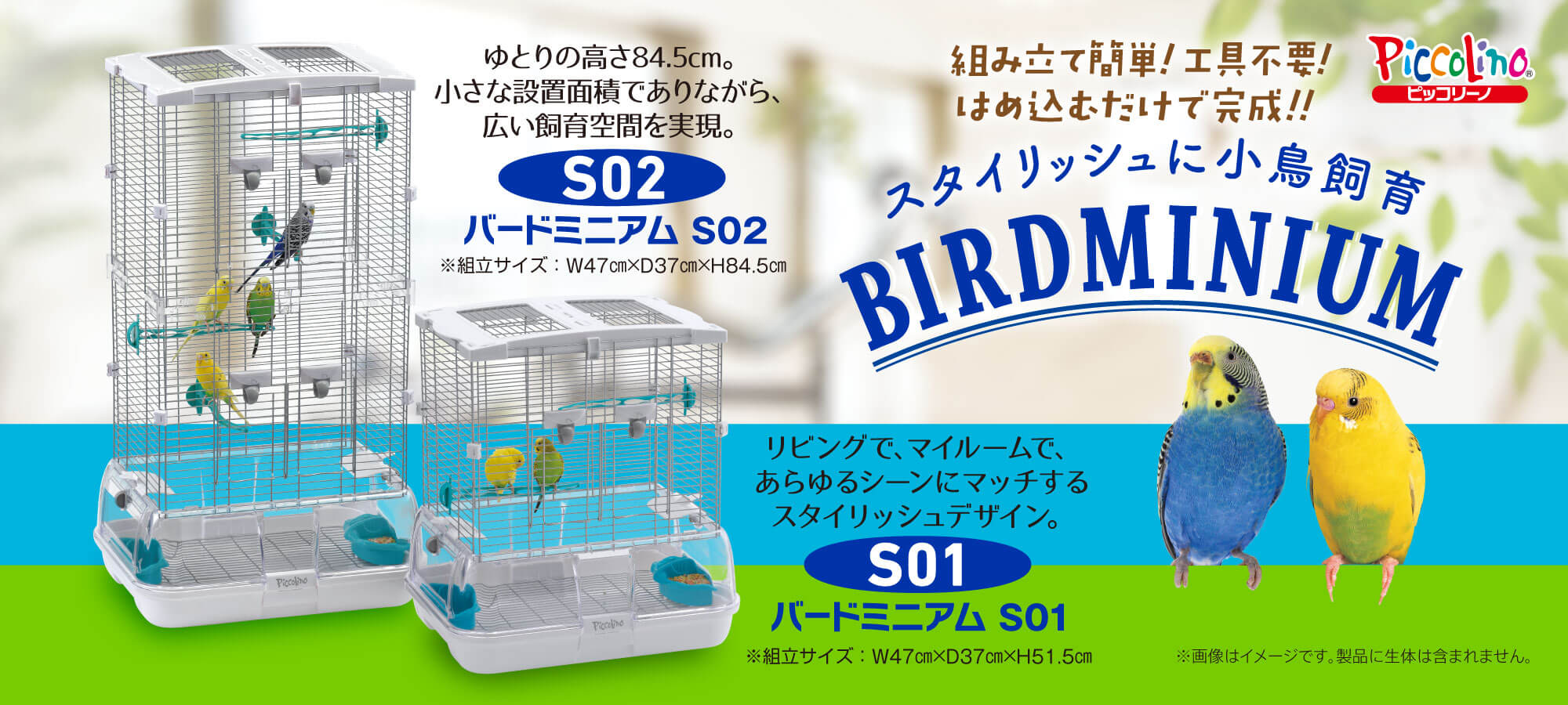 小鳥用品 | 株式会社スドー｜観賞魚・水草 爬虫類 小動物 小鳥用品