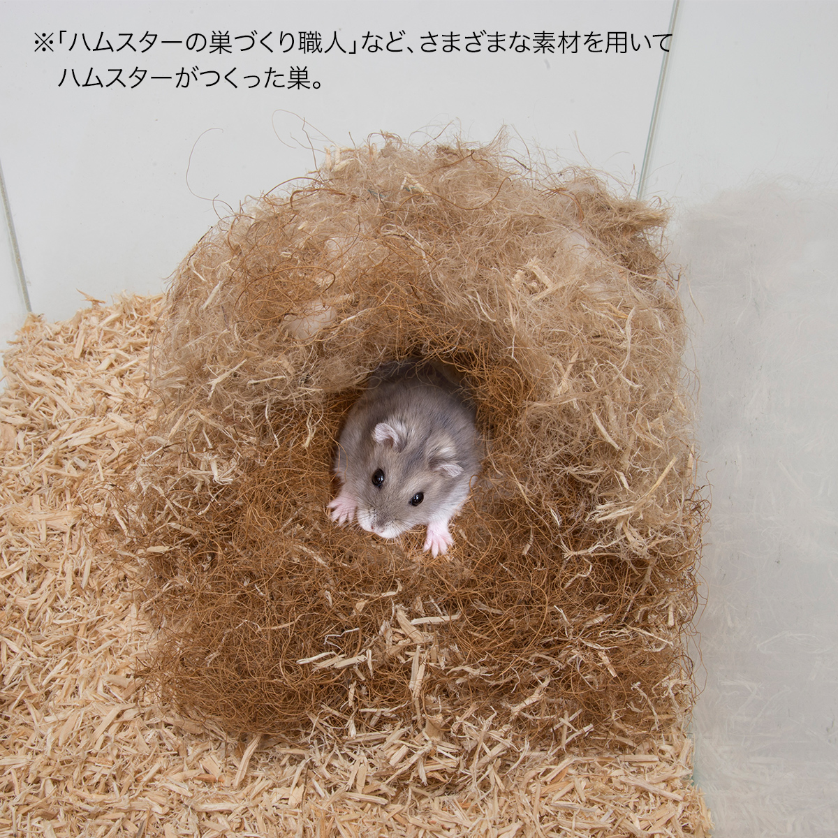 ハムスターの巣づくり職人（30g） | 株式会社スドー｜観賞魚・水草 爬虫類 小動物 小鳥用品